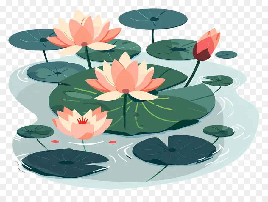 Étang De Lotus，Fleurs De Lotus PNG