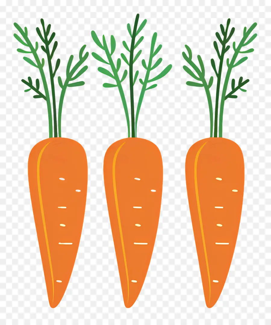 Les Carottes，Orange PNG