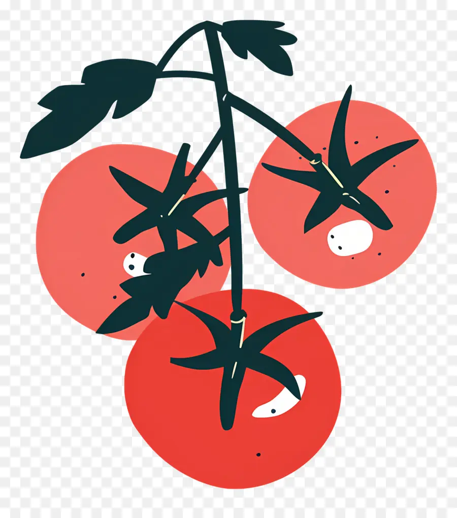 Tomates，Tomate PNG