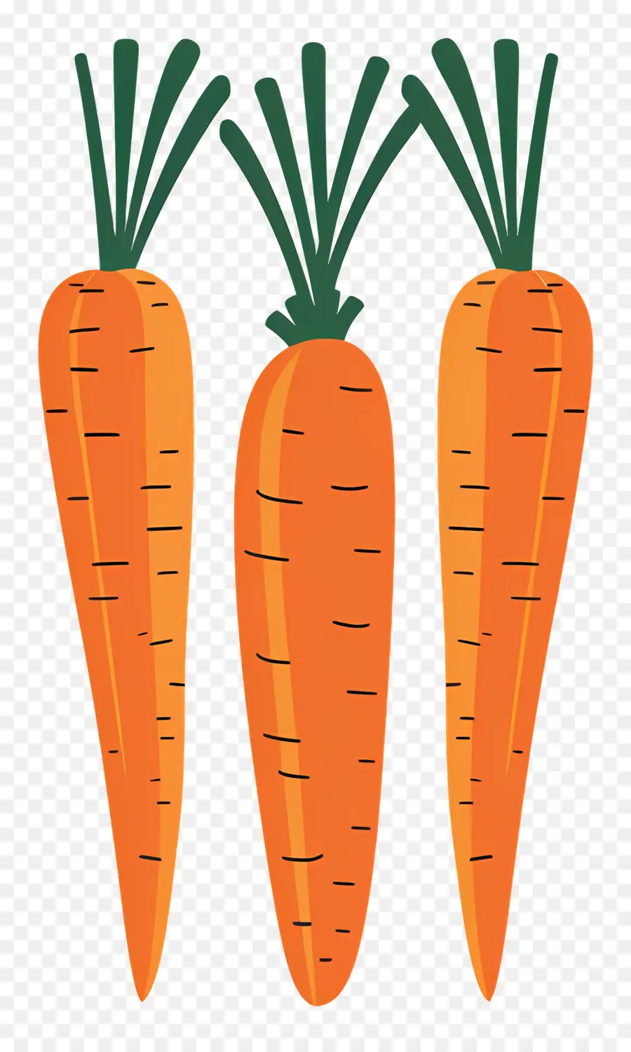 Les Carottes，Orange PNG