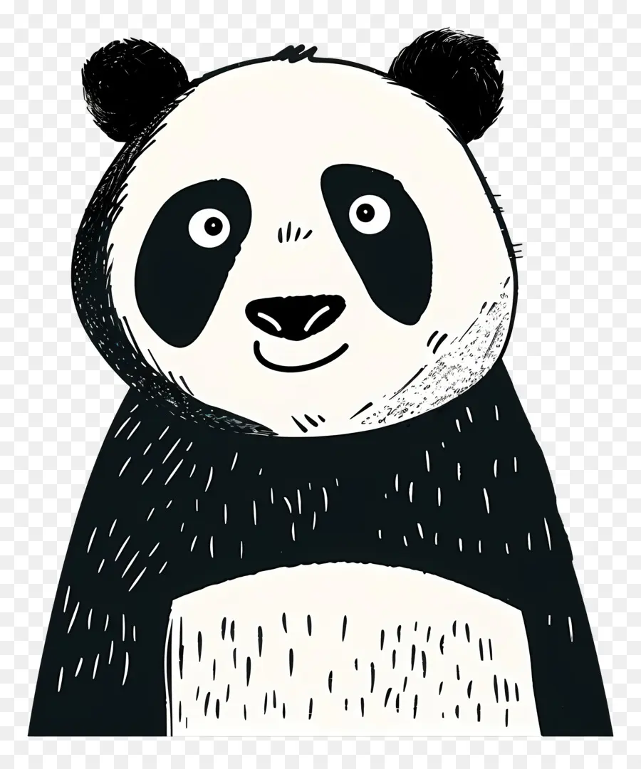 Panda，Ours De Panda PNG