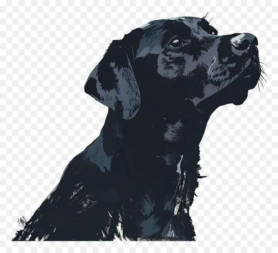 Chien，Chien Noir PNG