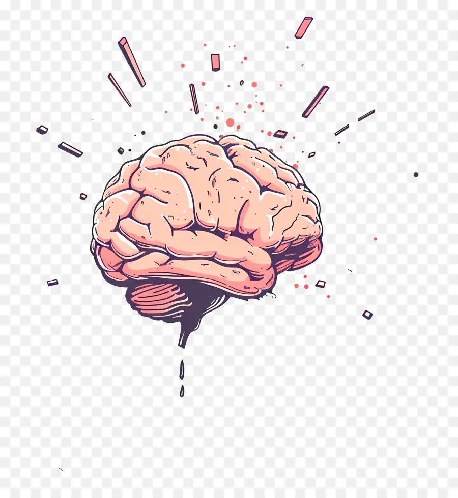 Cerveau，Dessin Animé PNG