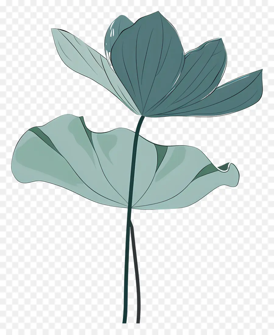 Feuille De Lotus，Fleur De Lotus PNG