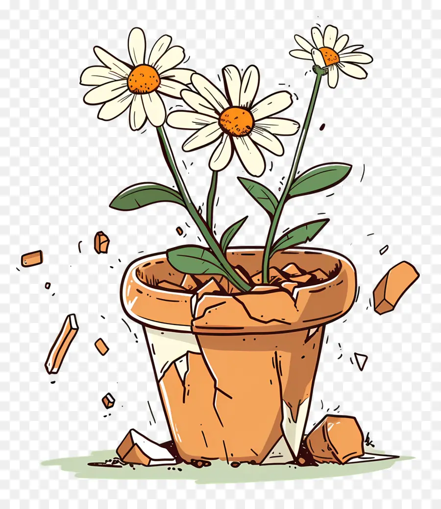 Pot De Fleur Cassé，Fleurs PNG