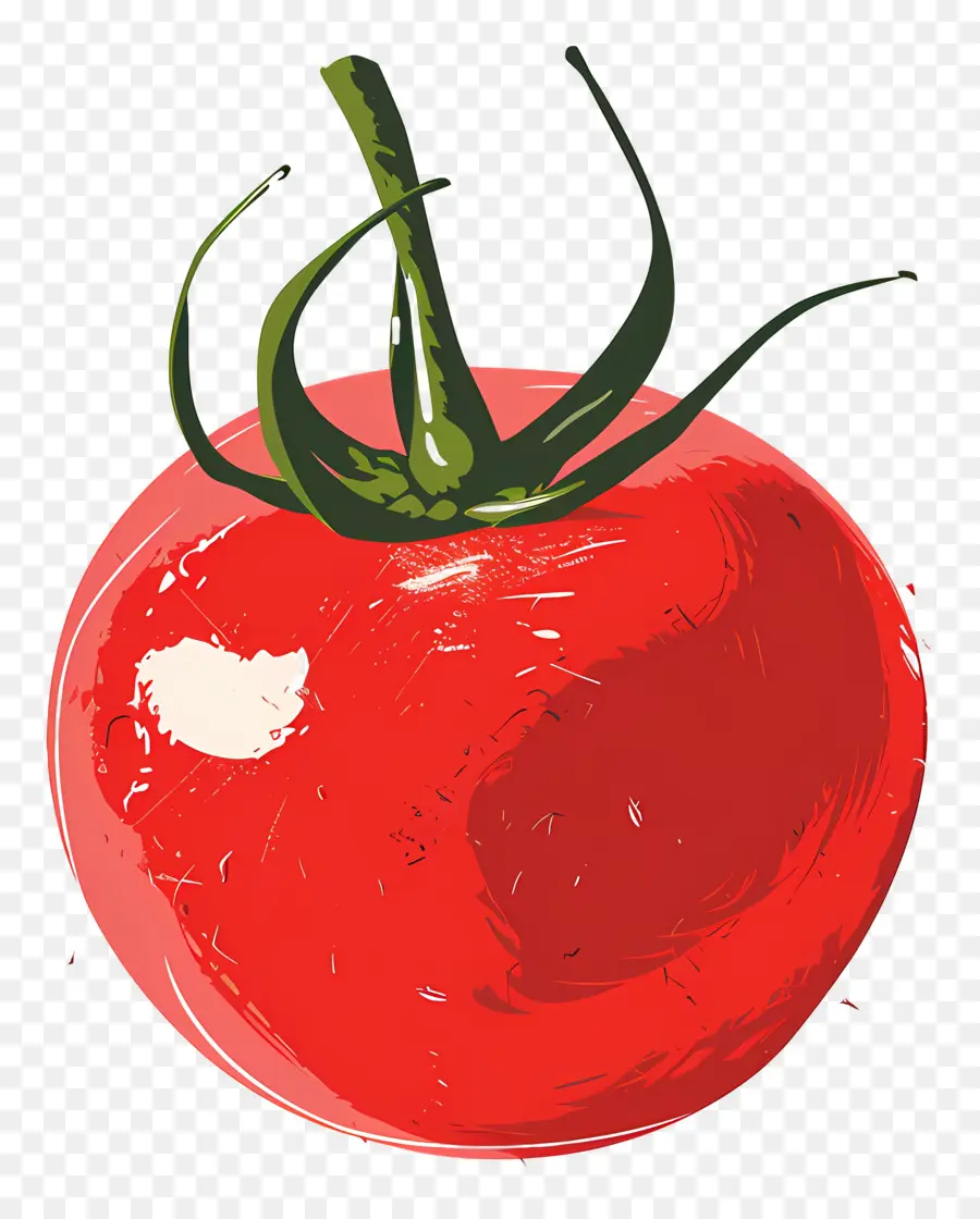 Tomate，Rouge PNG