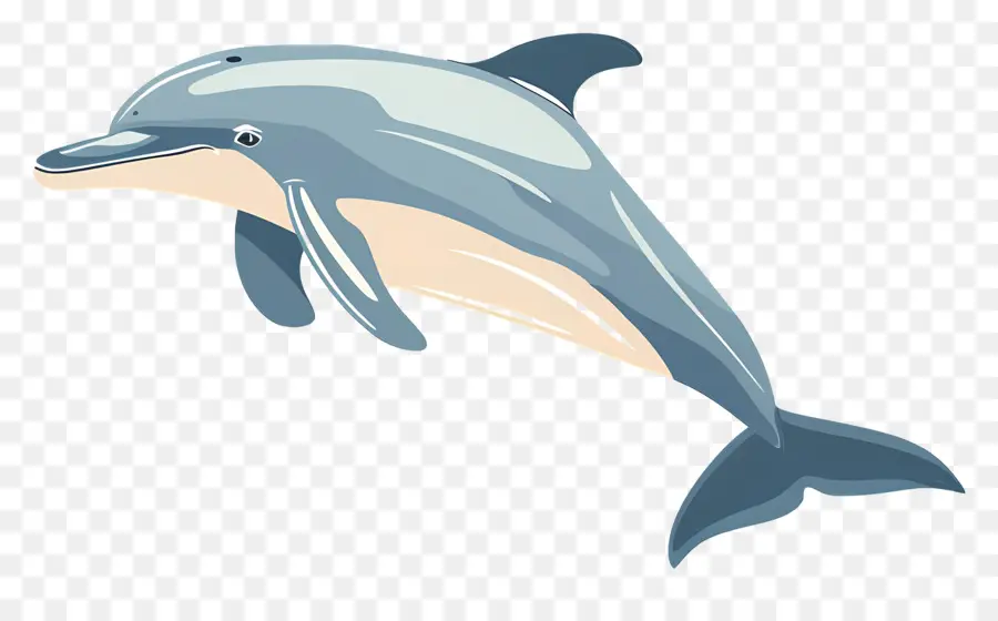 Dauphin De Dessin Animé，Dauphin PNG