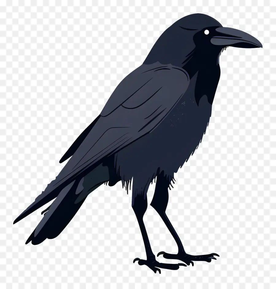 Crow，Noir PNG