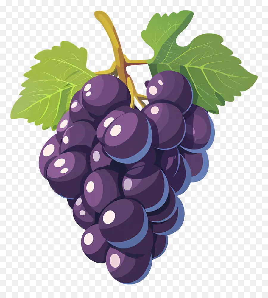 Raisin，Raisins Violets PNG