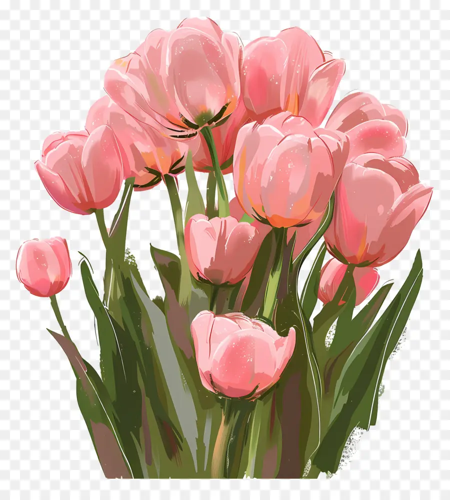 Tulipes Roses，Les Tulipes PNG