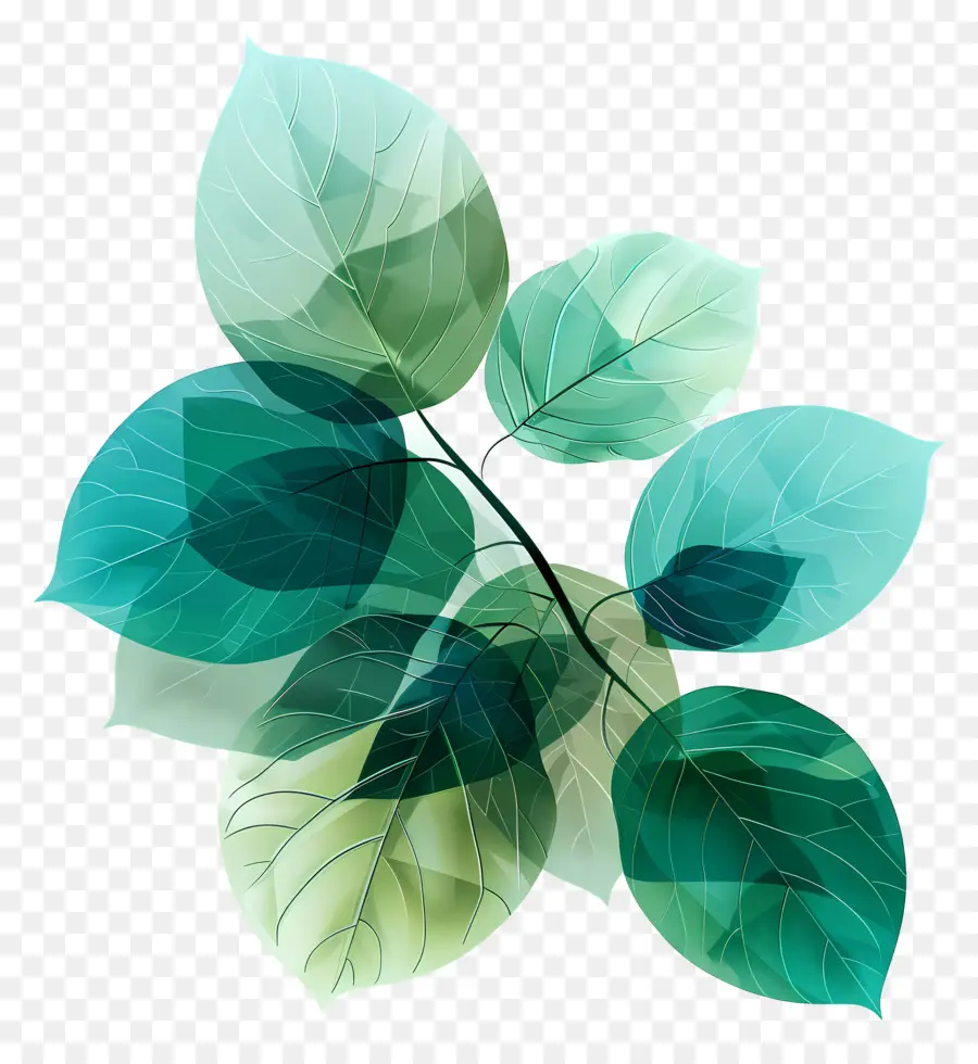 Feuilles Vertes，La Nature PNG