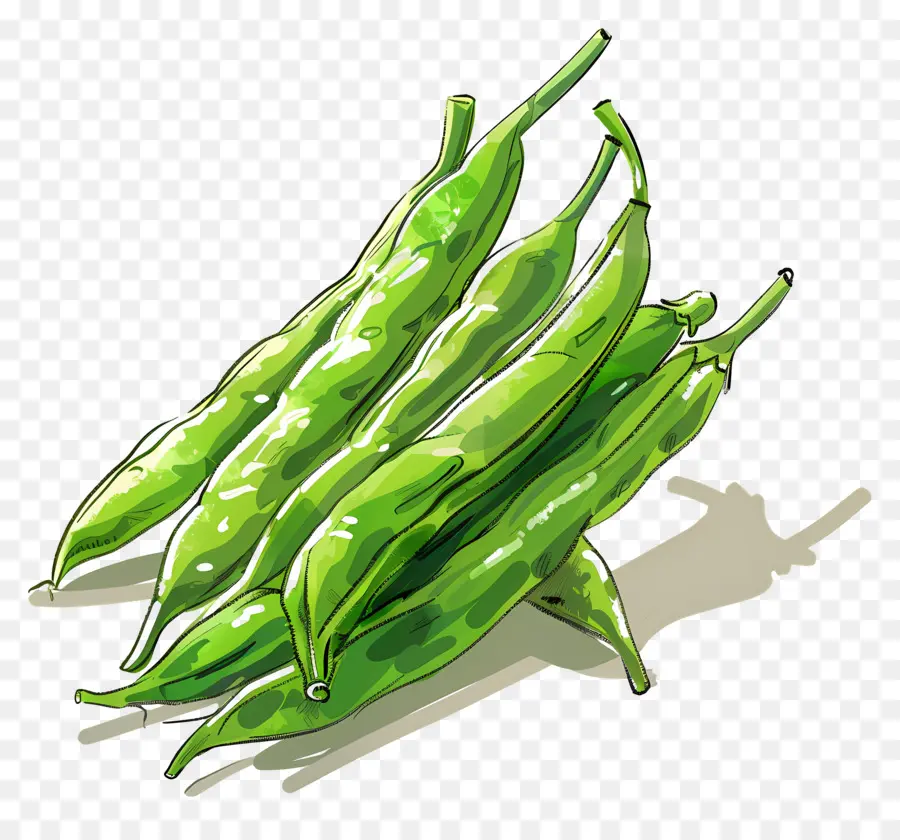 Haricots Verts，Nourriture PNG