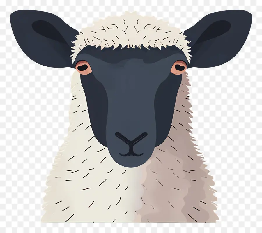 Mouton，Laine PNG