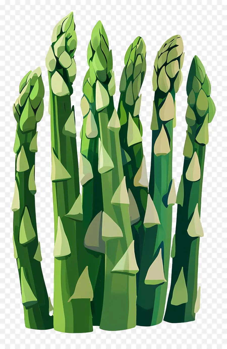 Asperges，Vert PNG