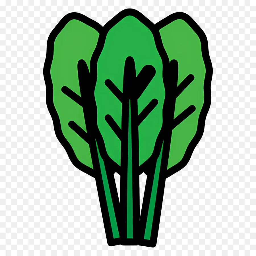 Feuilles Vertes，Légume PNG