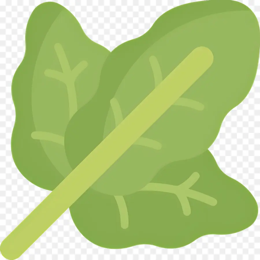 Feuilles Vertes，Légumes PNG