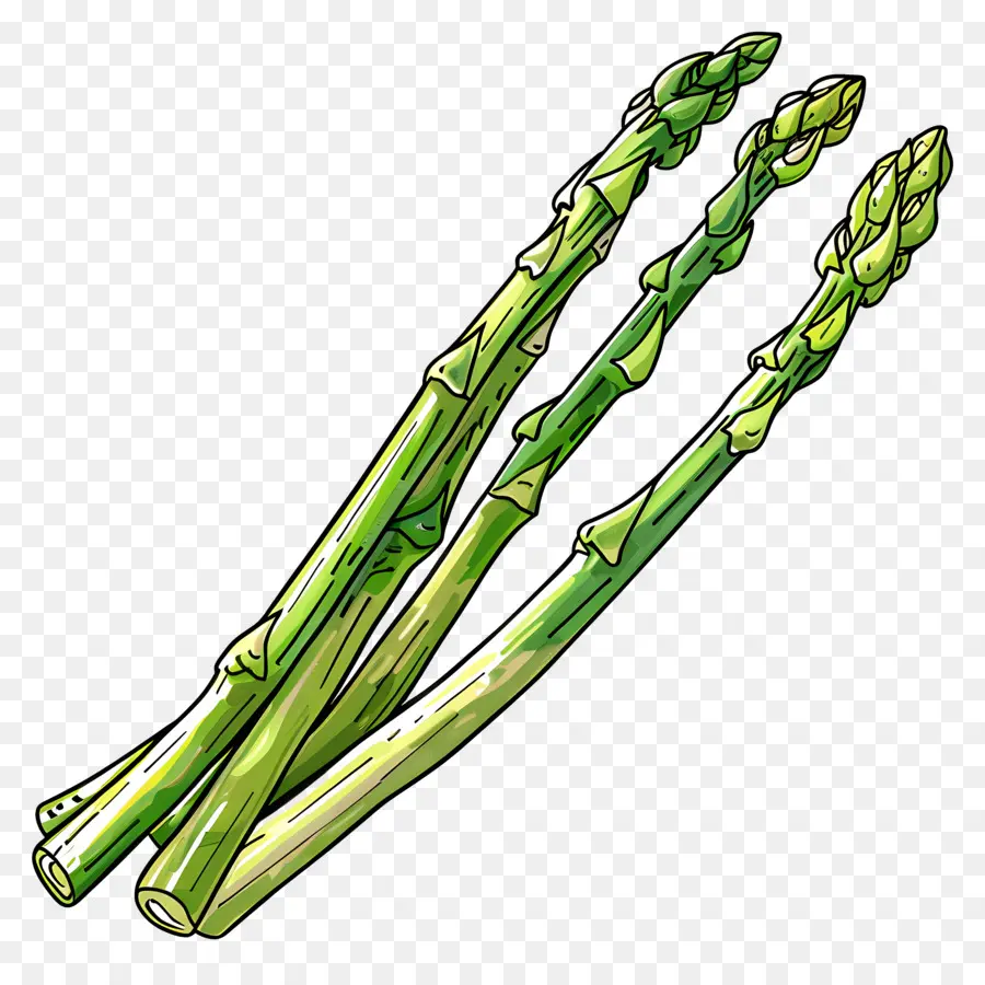 Asperges，Vert PNG