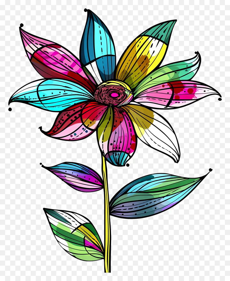 Fleur，Fleur Colorée PNG