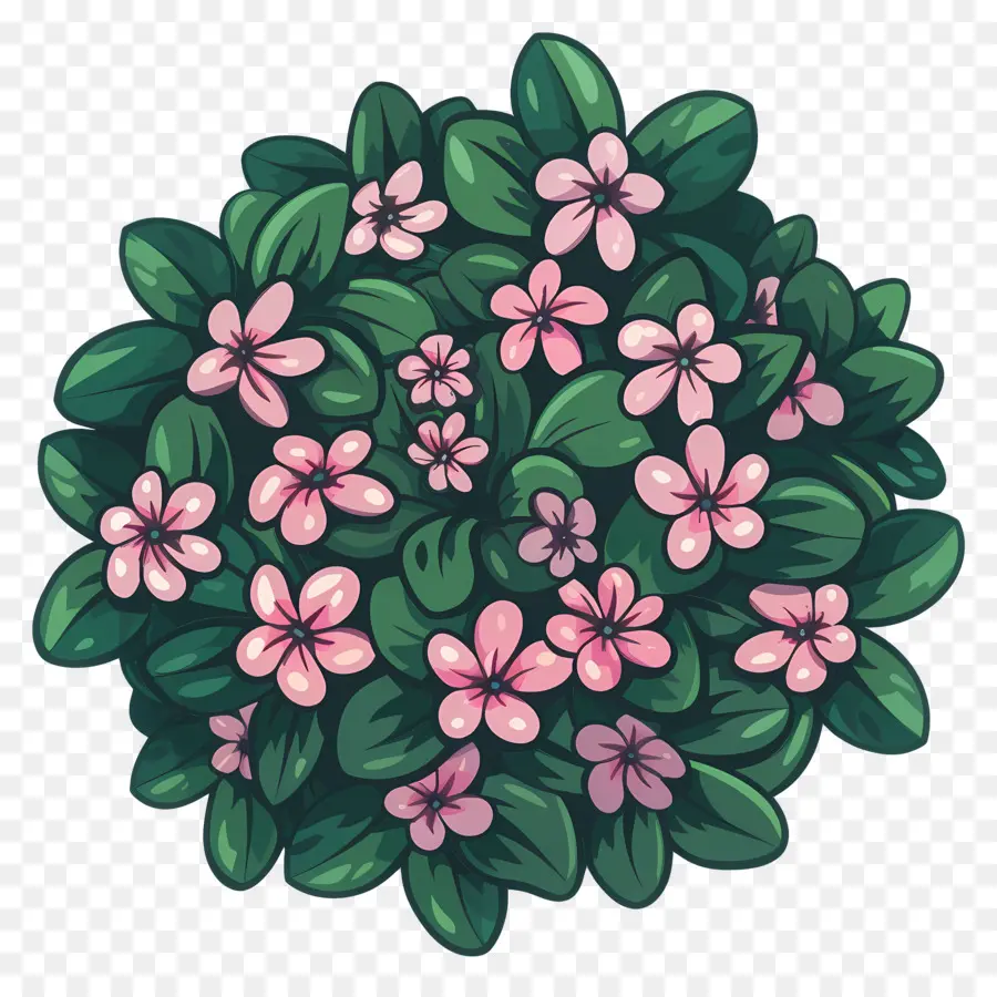 Vue De Dessus De La Plante à Fleurs，Fleur De Bush PNG