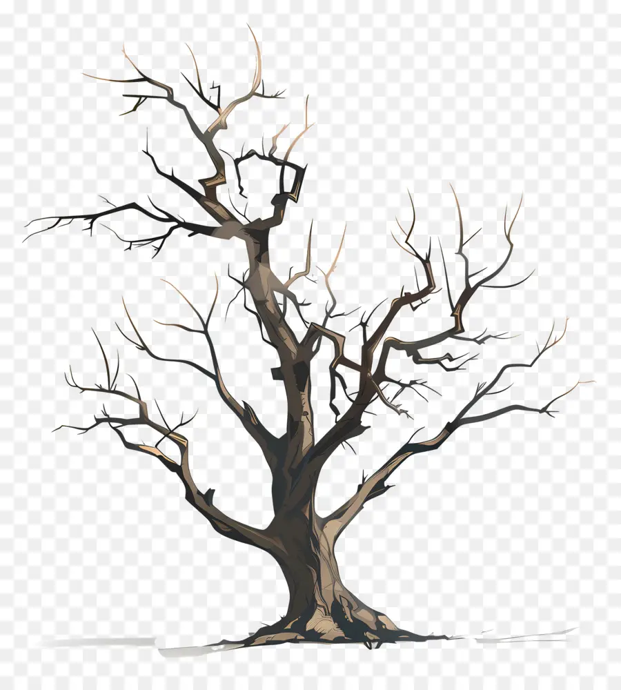 Arbre Nu，Nu PNG