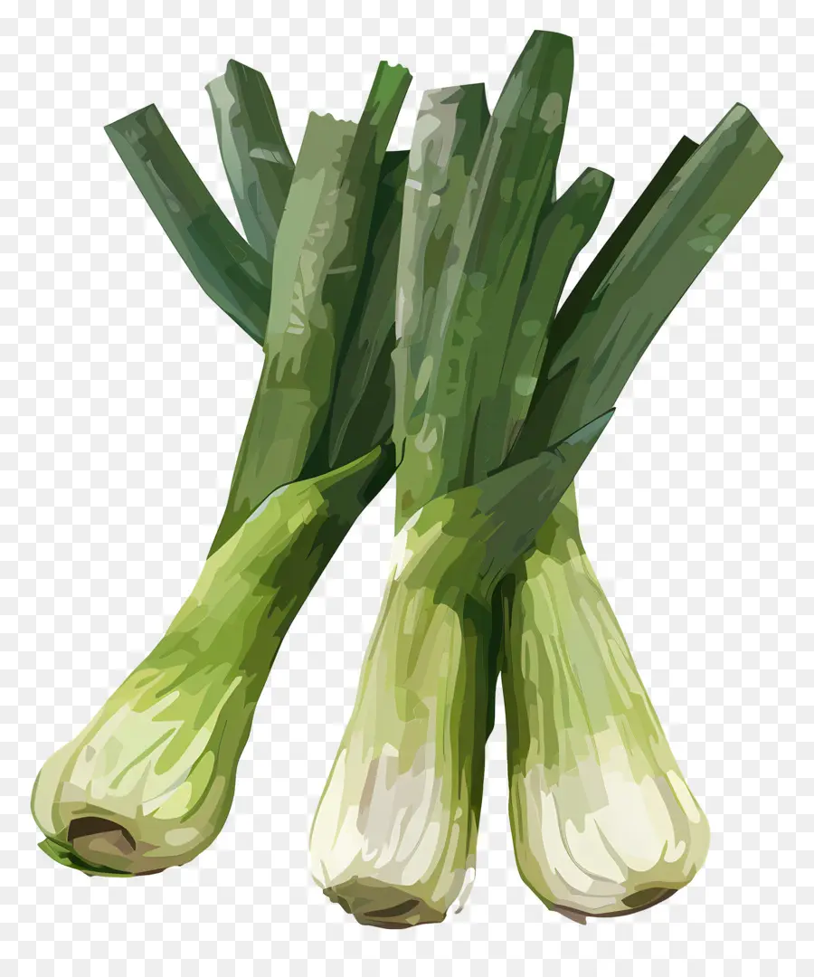 Poireaux，Oignons Verts PNG