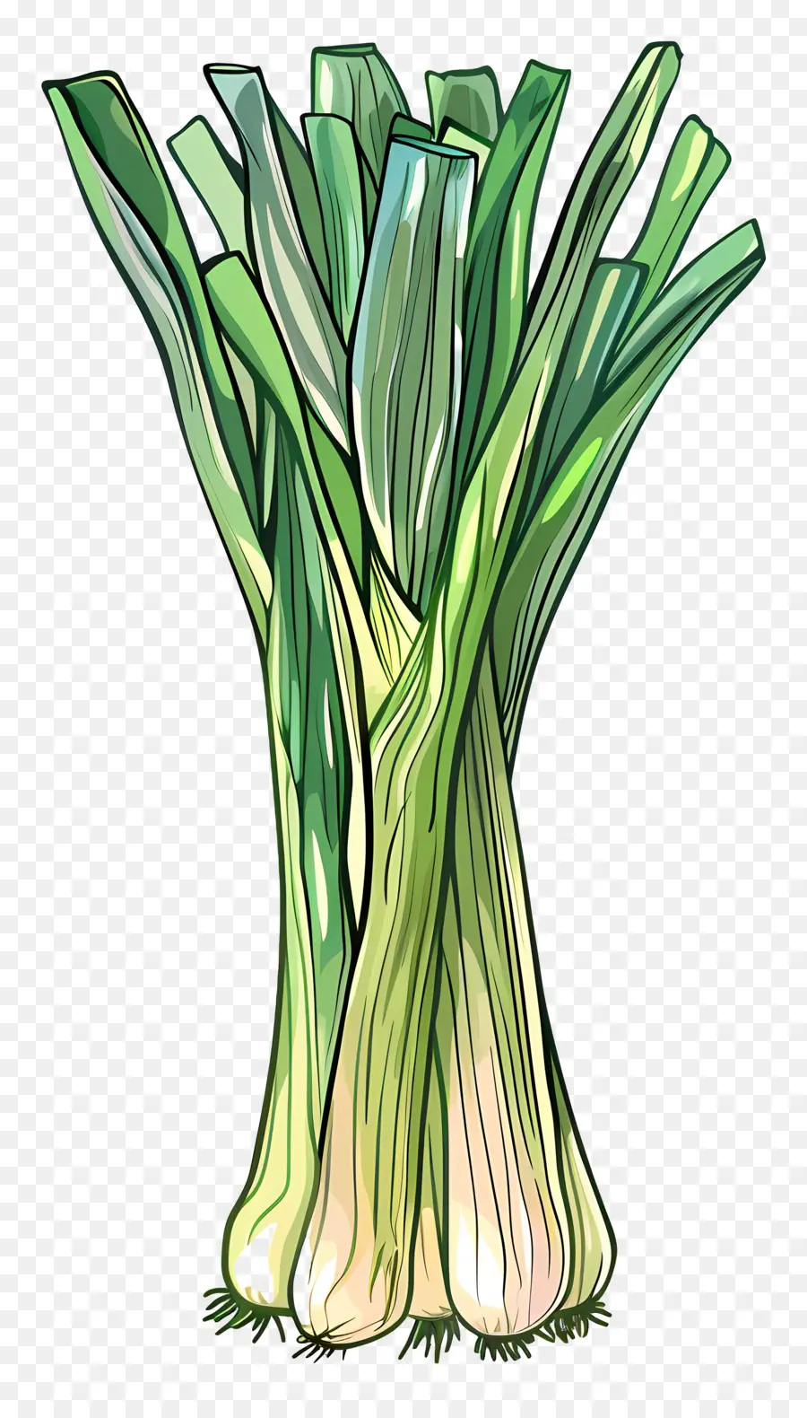 Poireaux，Oignons Verts PNG