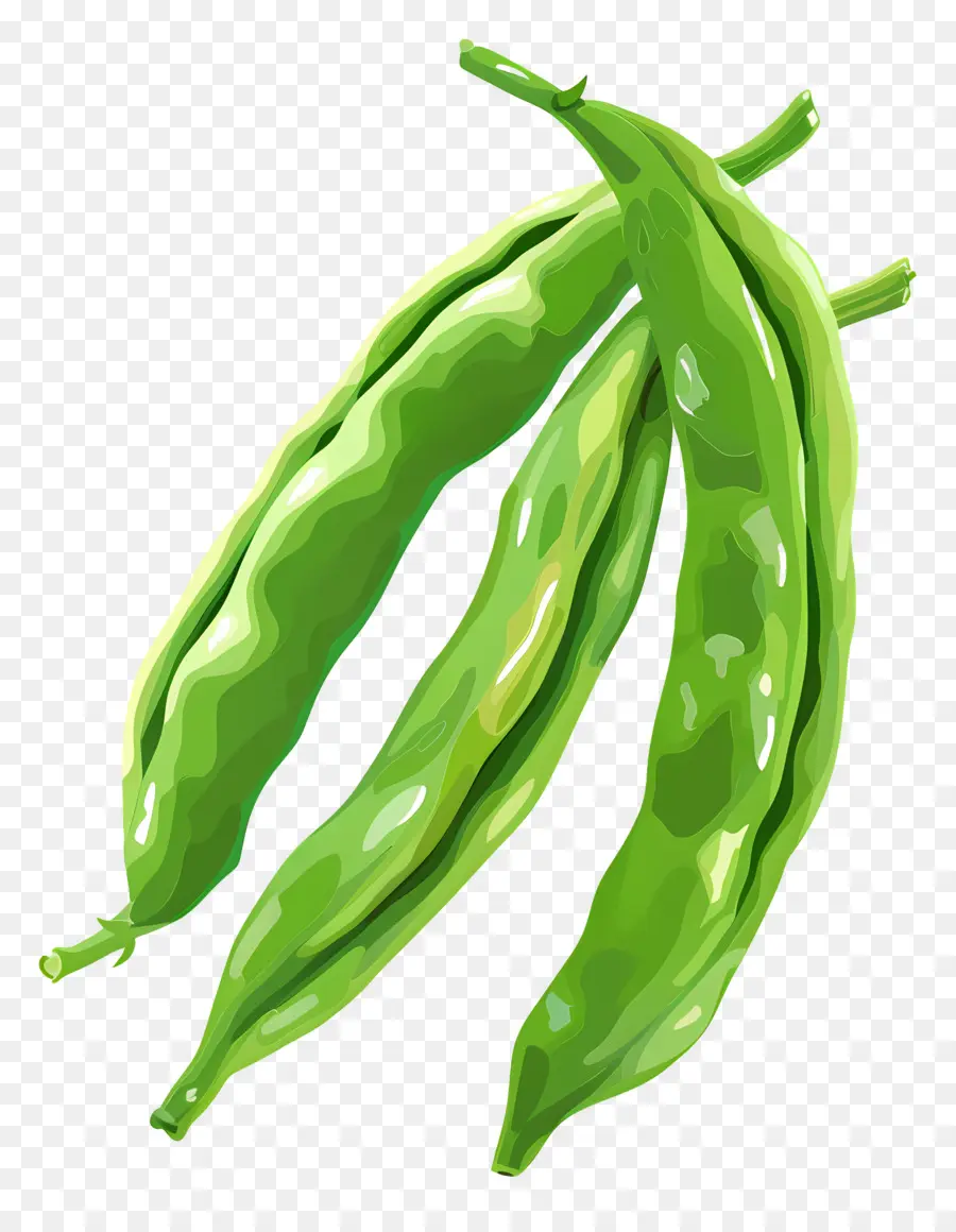 Haricots Verts，Nourriture PNG