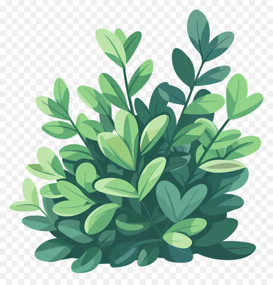 Buisson Vert，Feuilles PNG