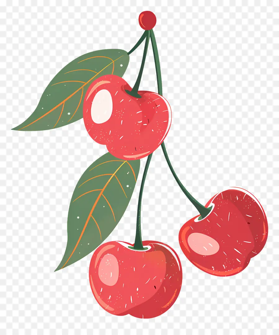 Cerise，Cerises Rouges PNG