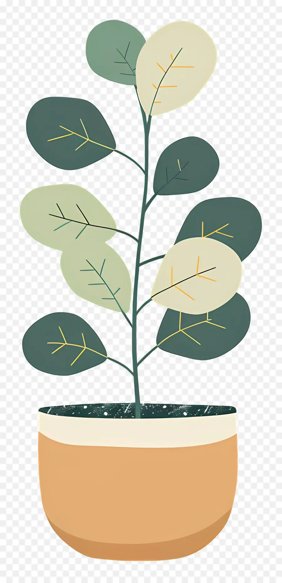 Plante D'intérieur Ondulée，Plante En Pot PNG