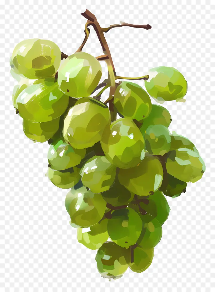 Raisins Verts，Raisins PNG