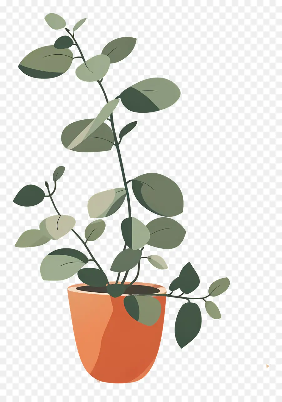 Plant D'intérieur Ondulé，Plante En Pot PNG