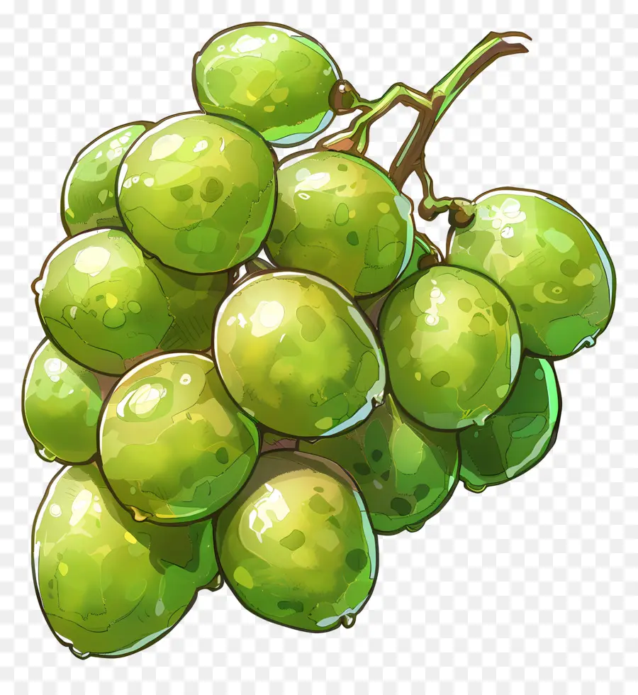 Raisins Verts，Raisins PNG