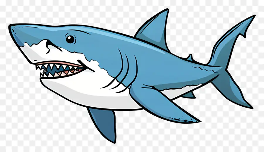 Requin De Dessin Animé，Requin PNG