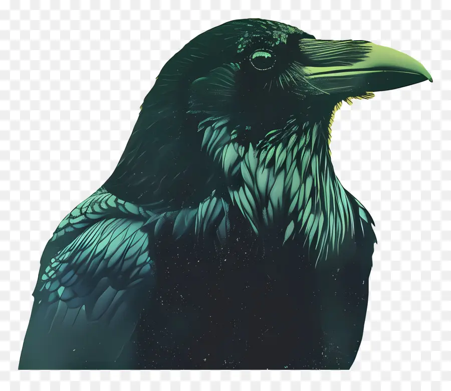 Raven，Oiseau PNG