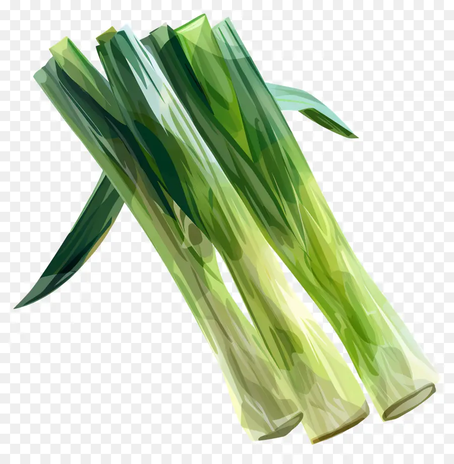 Poireaux，Oignons Verts PNG