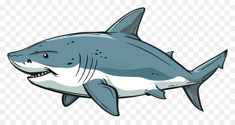 Requin De Dessin Animé，Requin PNG