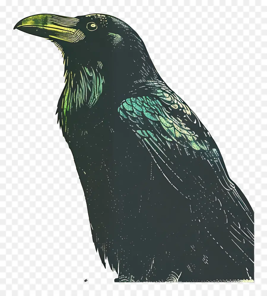 Raven，Oiseau PNG