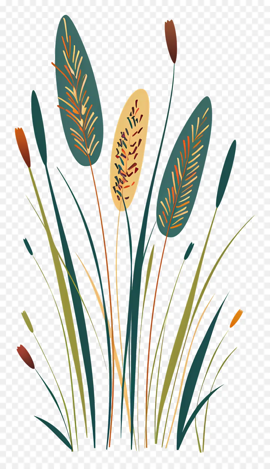 Herbe De Fléole Des Prés，Plantes PNG