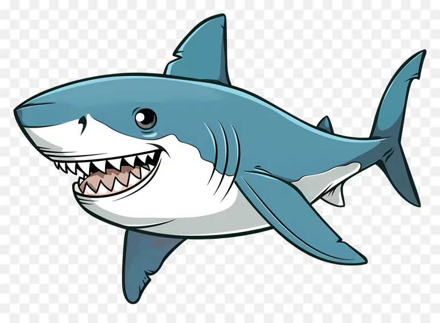 Requin De Dessin Animé，Requin PNG