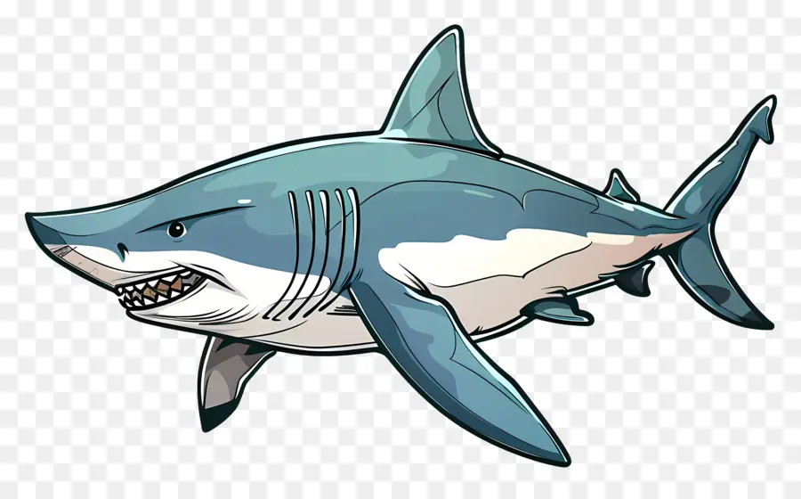 Dessin Animé Requin，Requin PNG