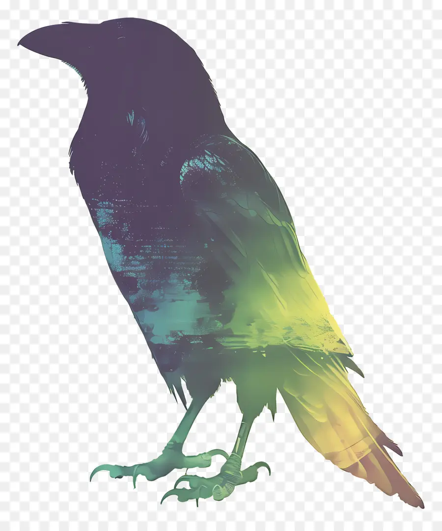 Raven，Silhouette Colorée De Corbeau PNG