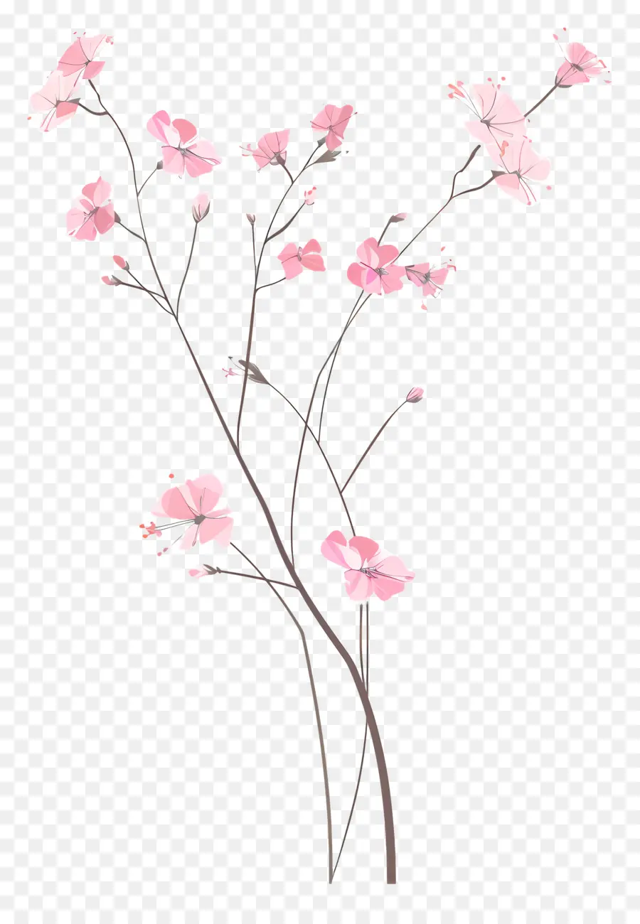 Fleurs Roses，Fleur Branche PNG