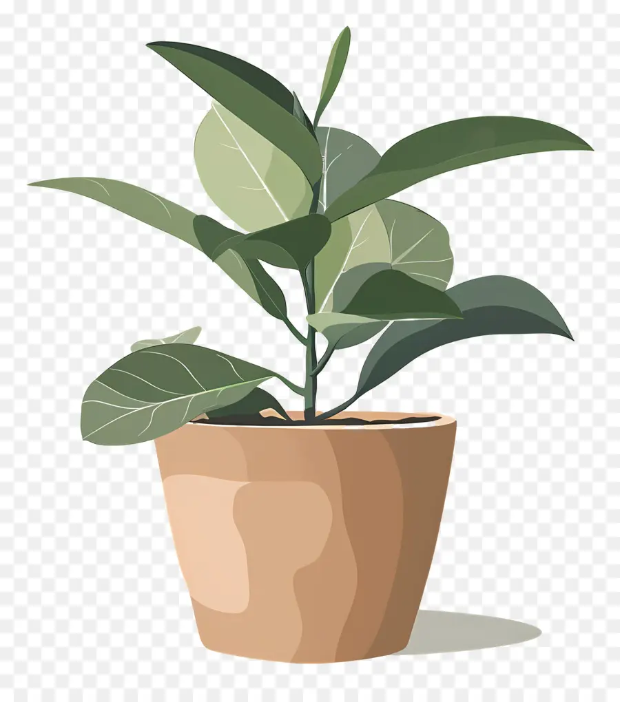 Pot De Plante，Plante En Pot PNG