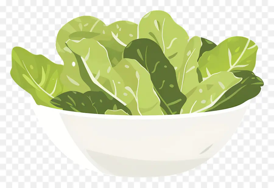 Salade，Bol De Laitue PNG