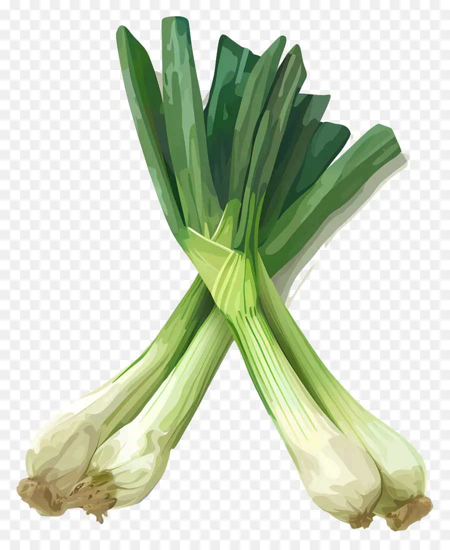 Poireaux，Oignons Verts PNG