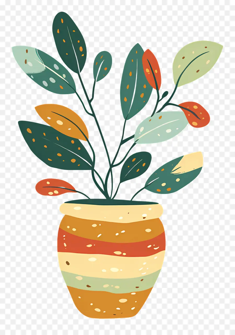 Plante D'intérieur Ondulée，Plante En Pot PNG