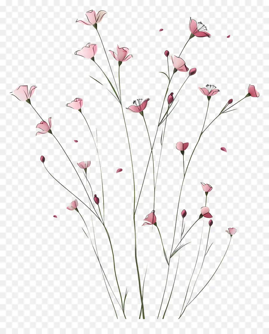 Fleurs Roses，Fleurir PNG