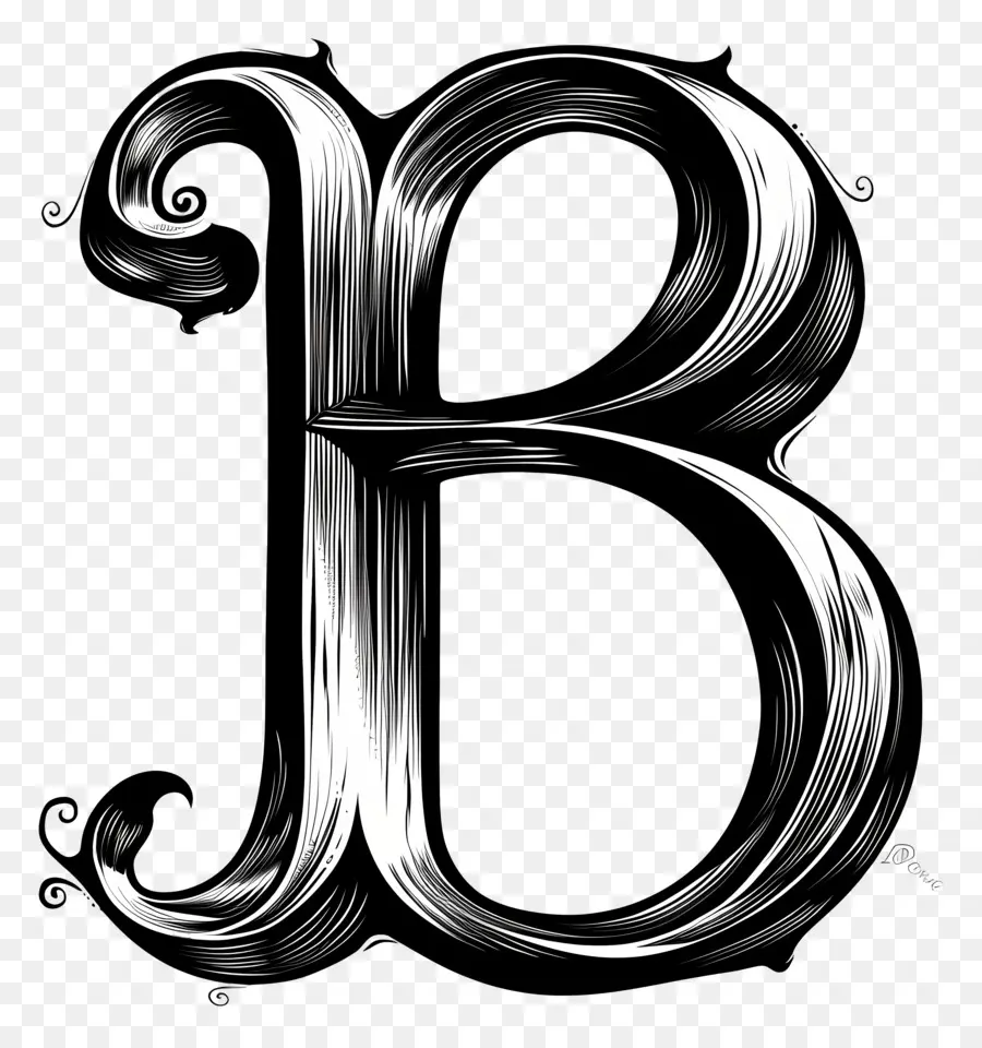 Lettre B，La Typographie PNG