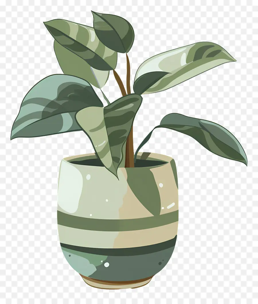 Pot De Plante，Plante En Pot PNG